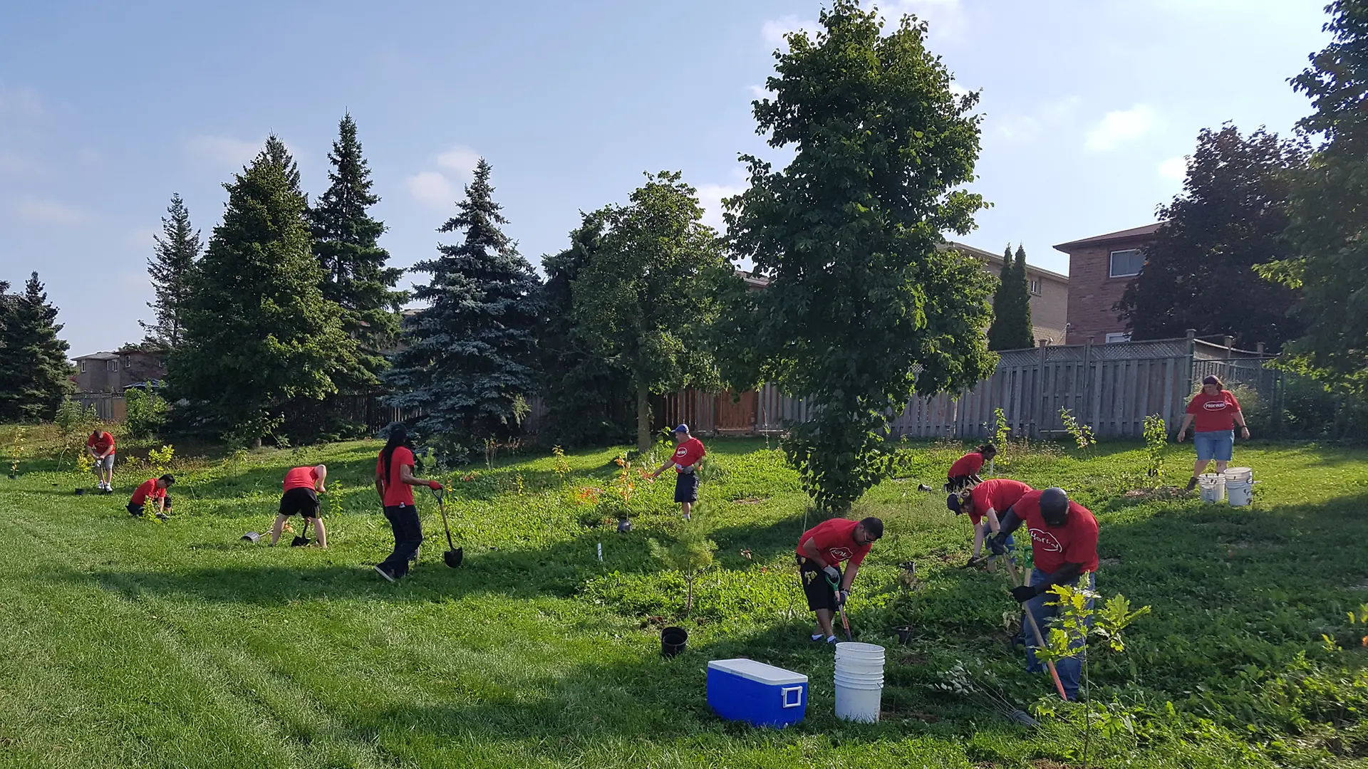 The Mississauga employees have planted over 200 trees in surrounding local parks, in support of One Million Trees Mississauga, an organization dedicated to planting one million trees by 2023.