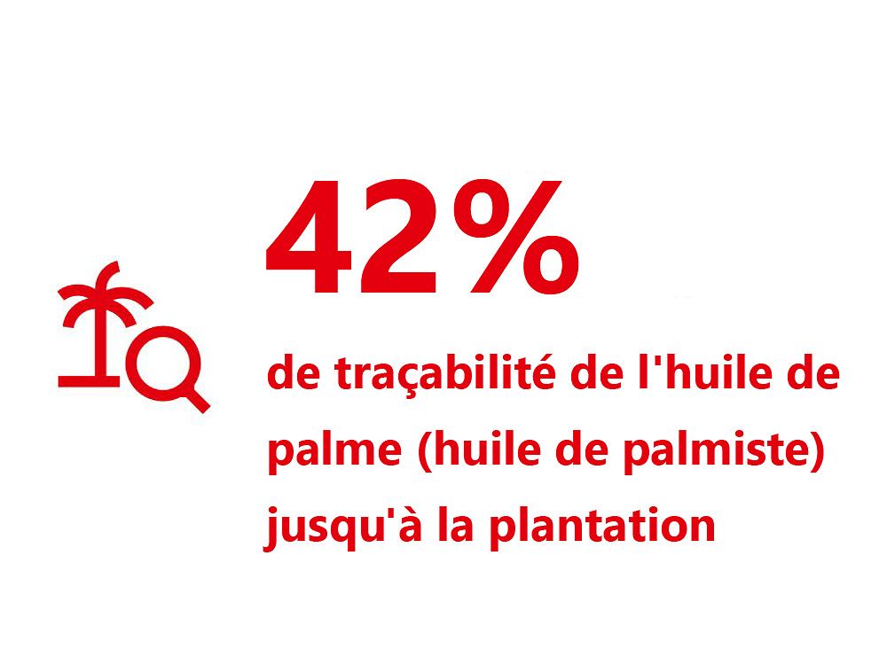 42-traceability-palm-oil-plantation-fr