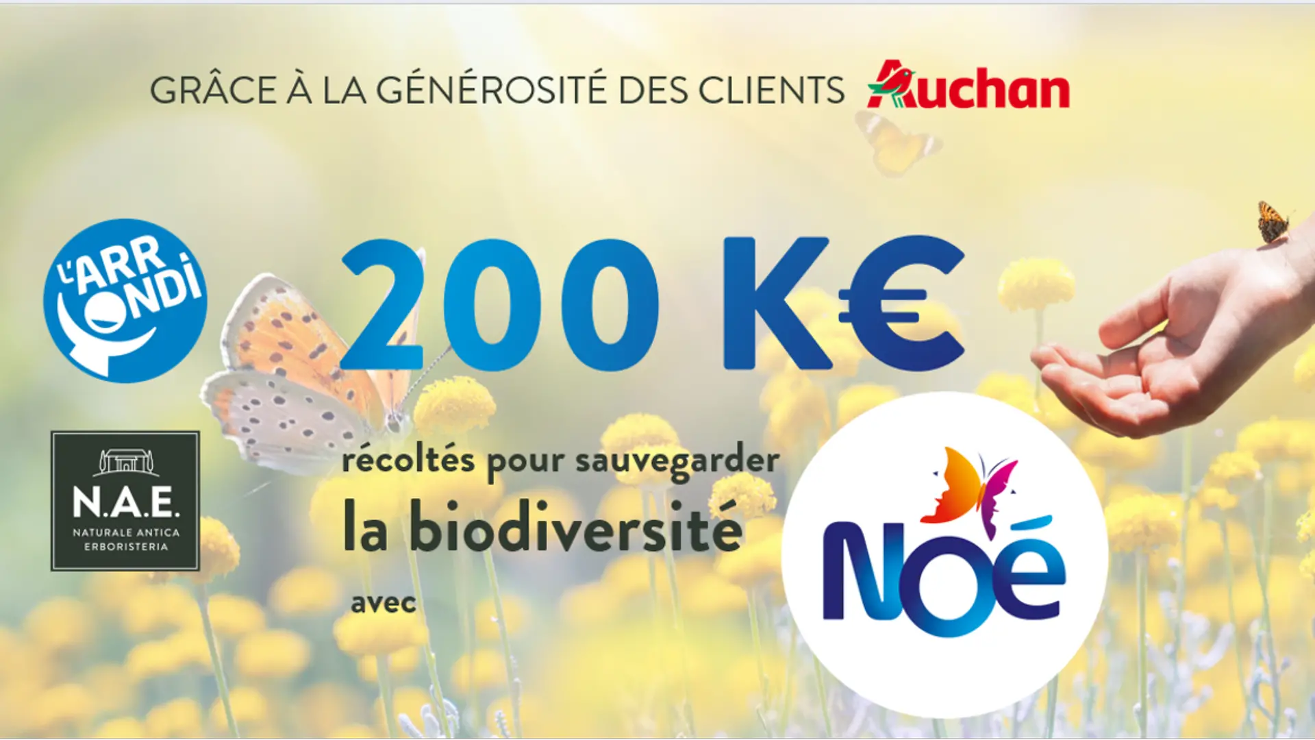 La troisième campagne d’Arrondi en caisse menée dans les hypermarchés et supermarchés Auchan avec la marque N.A.E. au bénéfice de l’association Noé, a permis de collecter près de 200 000 €. 