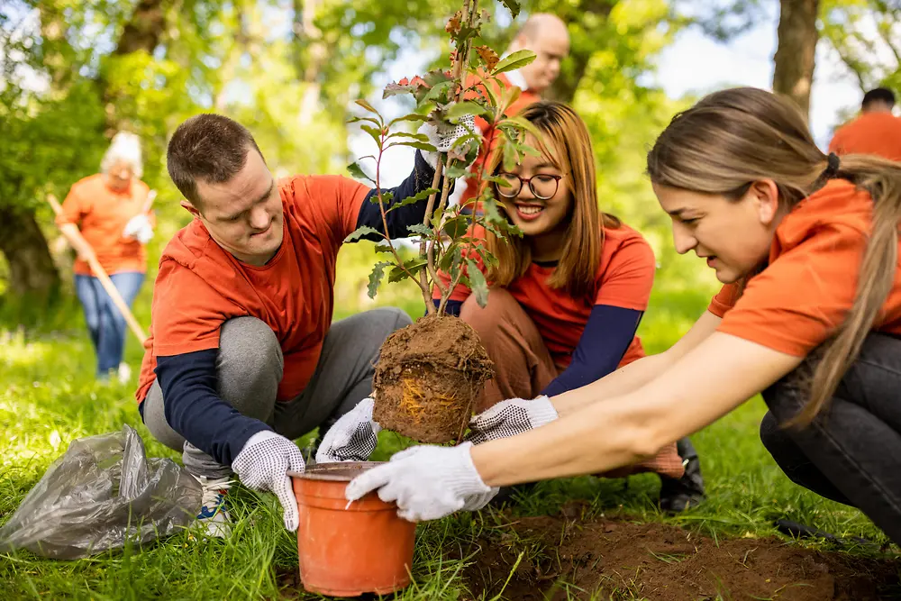 Plusieurs personnes travaillant dehors pour planter un arbre dans un parc lumineux