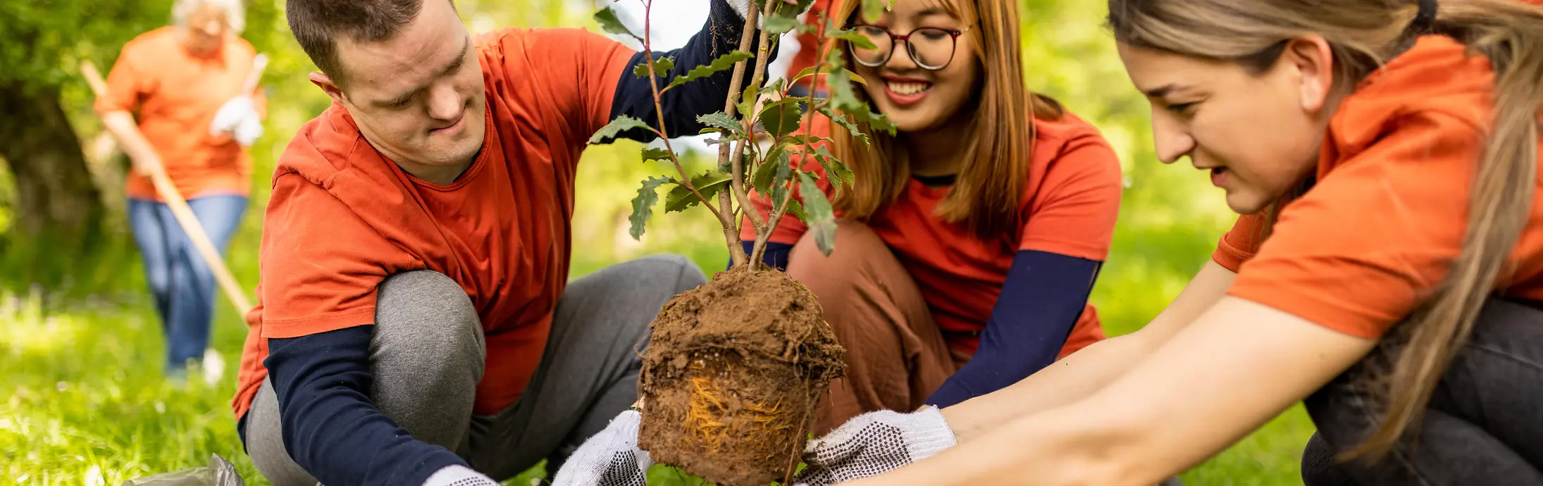 Plusieurs personnes travaillant dehors pour planter un arbre dans un parc lumineux