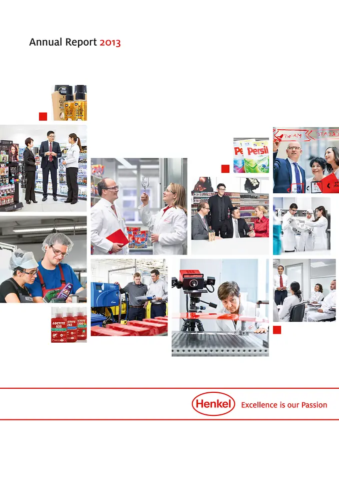 Rapport Annuel 2013 (Cover)