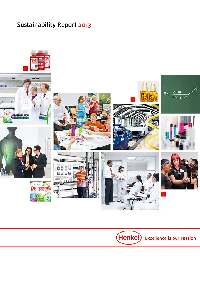 Rapport Développement Durable 2013 (Cover)