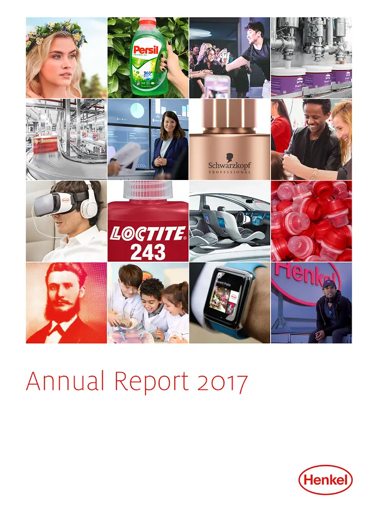 Rapport Annuel 2017 (Cover)