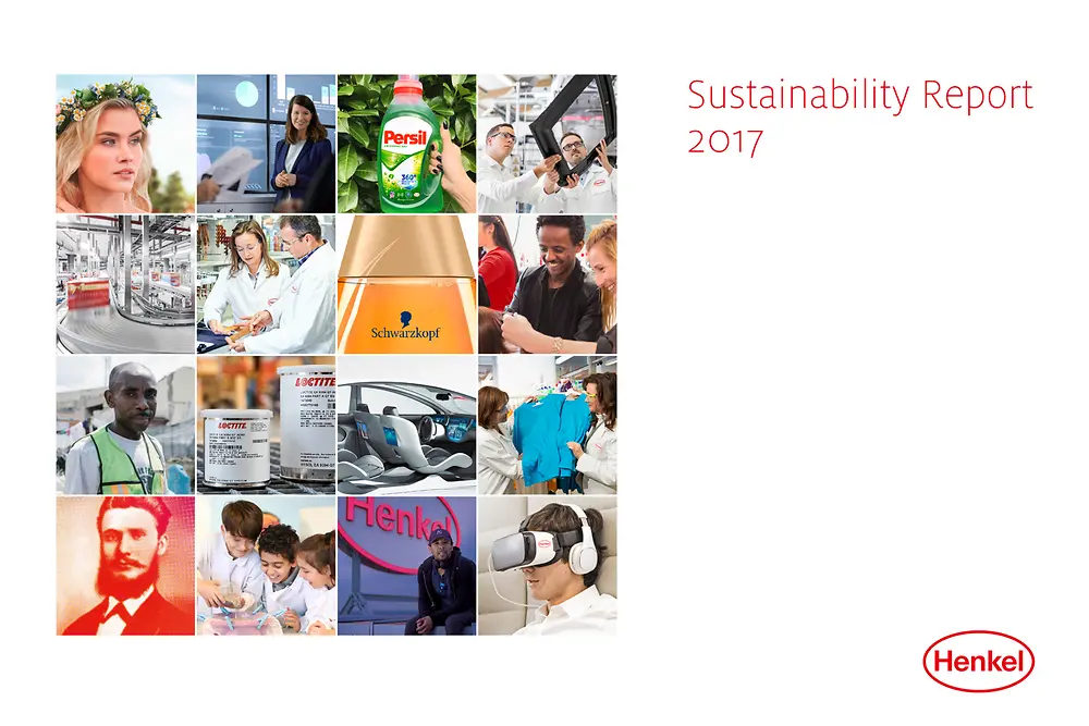 Rapport Développement Durable 2017 (Cover)